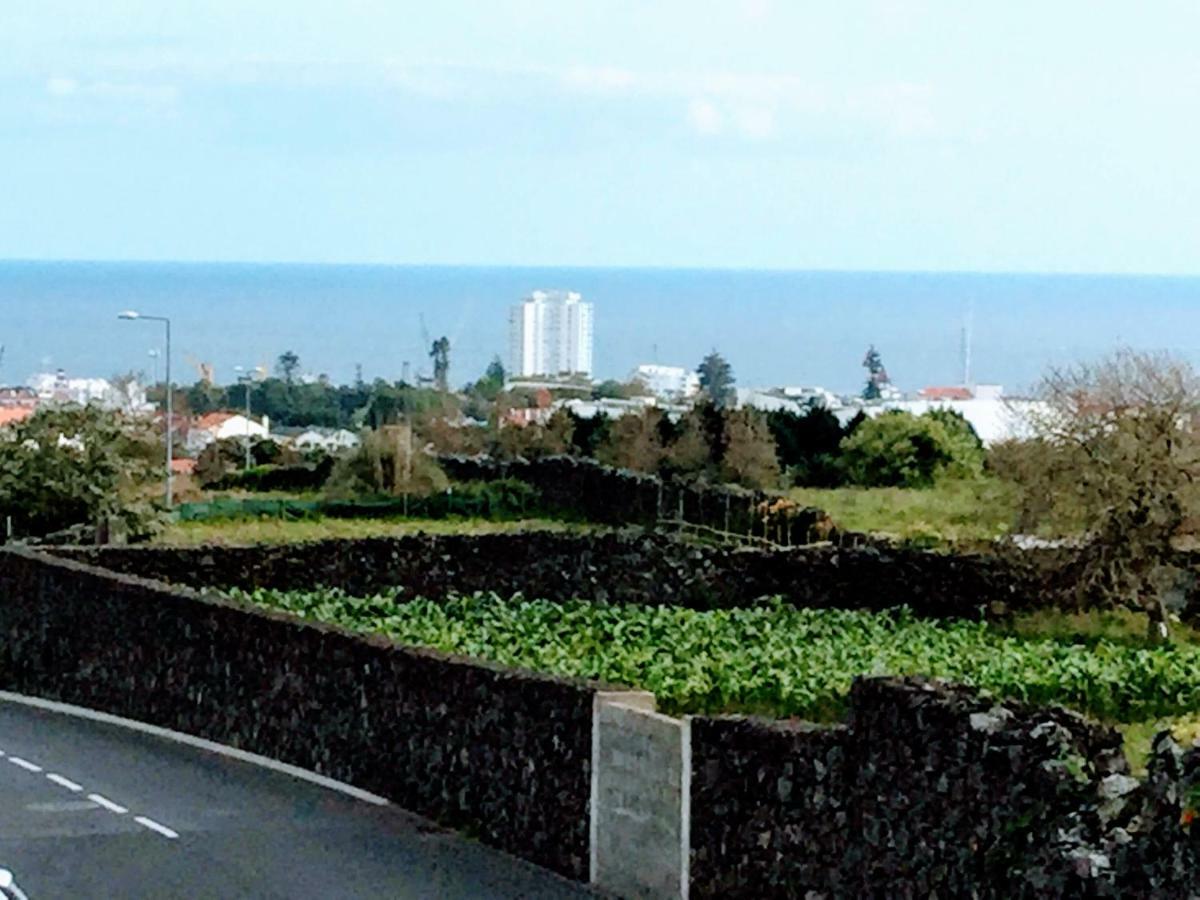דירות Ponta Delgada Apartamento Do Parque מראה חיצוני תמונה